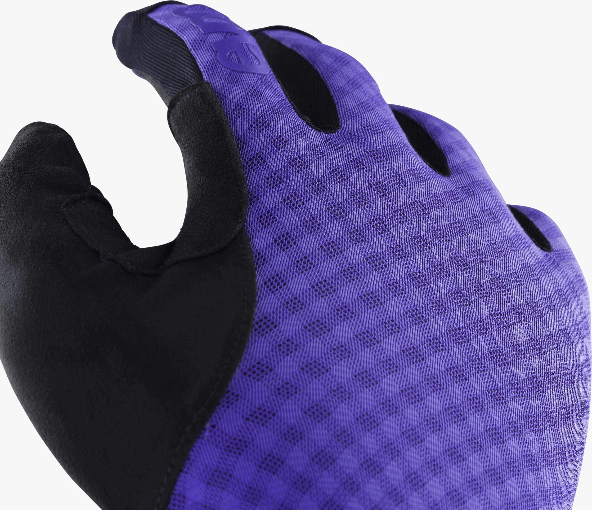 #Colour_violet