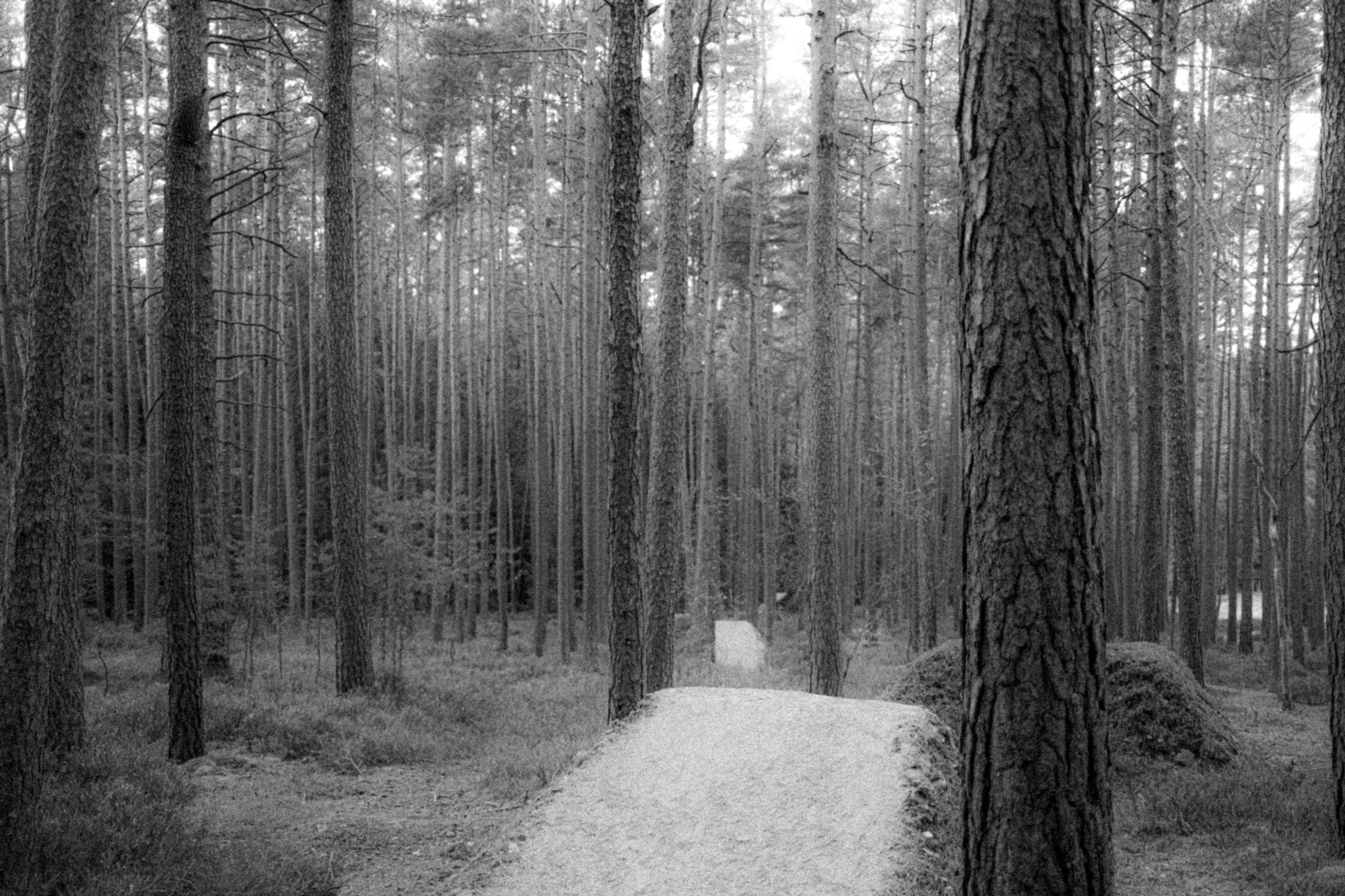 AN ODE TO MOUNTAIN BIKING