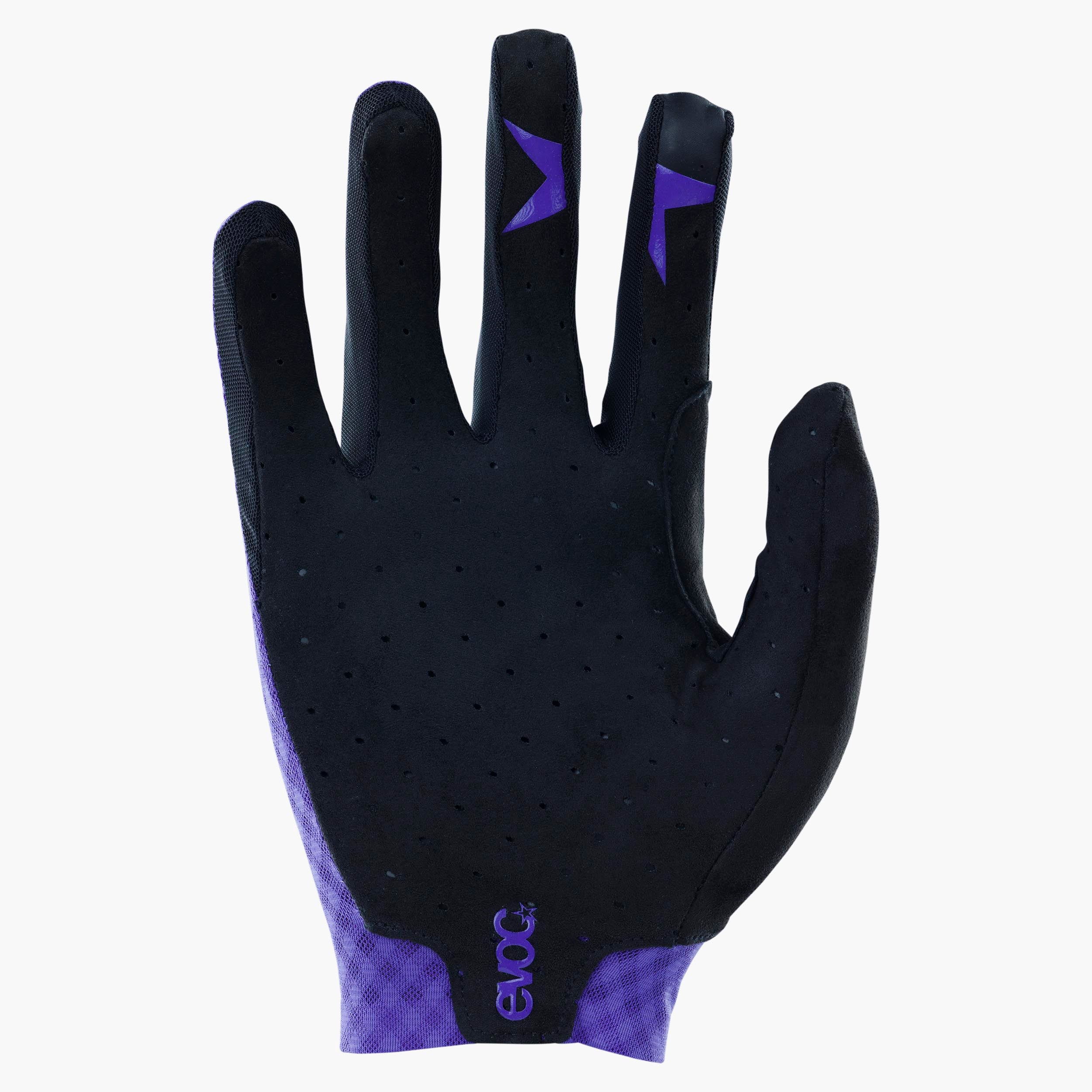 #Colour_violet